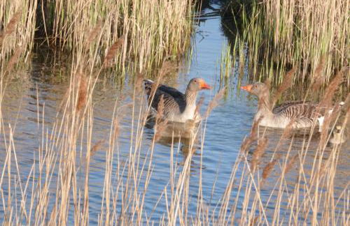 Old Hunstanton luxury by the sea - Foto 39