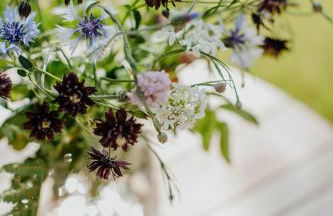 Halfhouse Wieck - Foto 30