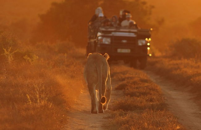 Uplands Homestead - Photo 25