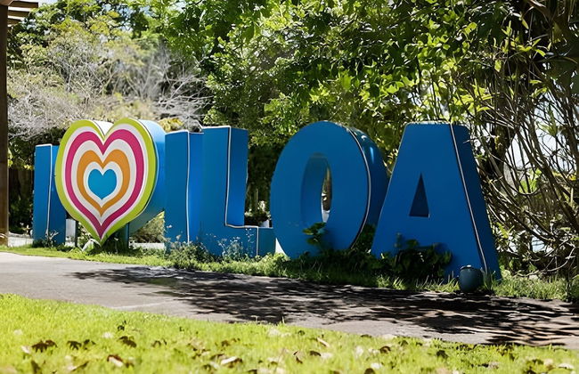 ILOA RESIDENCE AP 103 A - Foto 26