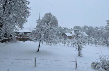 L' Extravagante im Garten von Schloss Schmidtheim - Foto 19