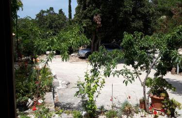 Apartments by the sea Cove Blaca, Mljet - 10416 - Photo 9