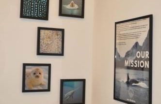 sea dreams l Design-Ferienwohnung #Octopus Seapearl - am Hauptbahnhof Schwerin - Foto 32