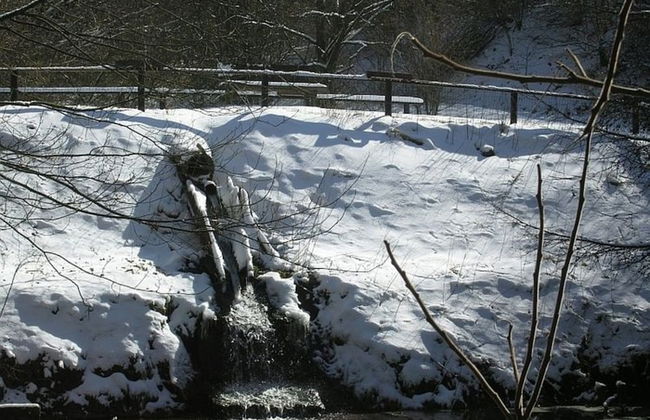 Chalet in Germany With Fireplace & Terrace - Photo 21