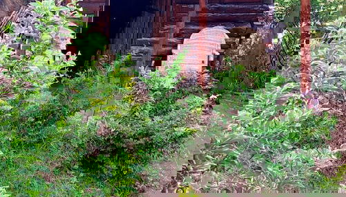 Facciata della struttura