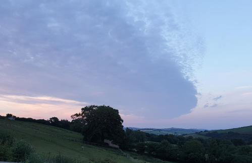 South Holm - Photo 52