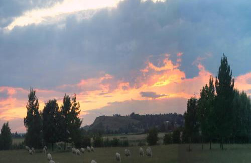 Spacious Cottage With Sauna Looking out on Astonishing Grasslands - Photo 74