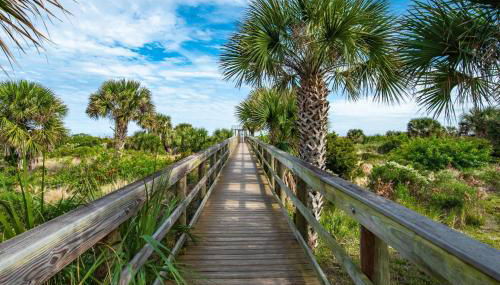 Driftwood Escape - Foto 4