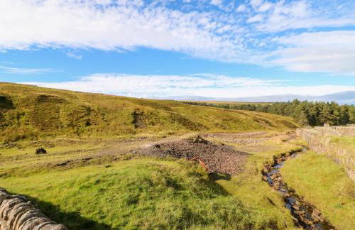 The Museum - Foto 43