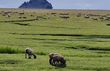 La Passerelle de la Baie - Foto 10