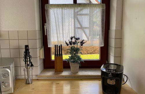 Ferienwohnung-Kapitaen-Hook-mit-Sonnenterrasse-Garten-zwischen-Strand-Wald-Wiese-auf-Ruegen - Foto 18