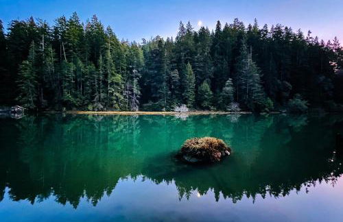 Mendocino Redwood Retreat Home & Cottage - Foto 61