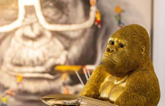 Monkey Flat 2 Zimmer Wohnung in Vohburg mit Büro - Foto 5