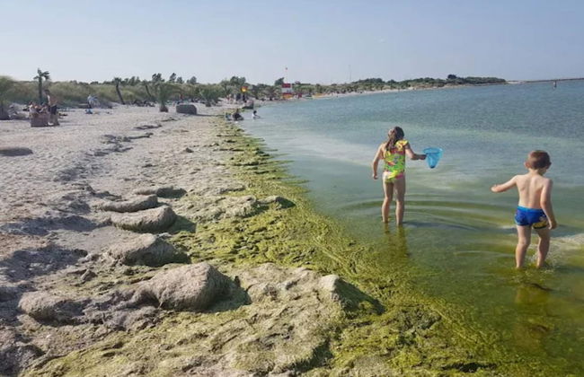 Charming Farmhouse Retreat - By Traum Ferienwohnungen - Foto 35