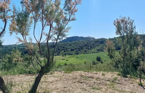 Minicasa nella fattoria - Foto 19