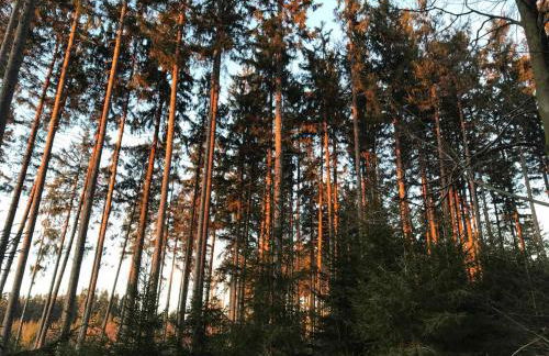 Ferienhaus Napoleon - Foto 41