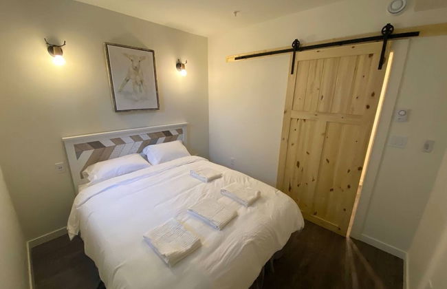 Brand New Dt 1 Br Close To All Edmonton, Canada - Photo 1