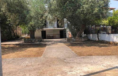 ELAIA by the sea guesthouse - Photo 12