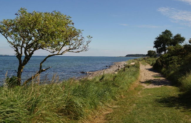 Holiday Apartment Domstag - Foto 20