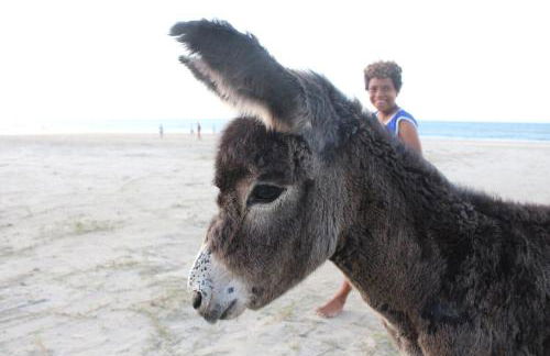 Casa Emboá Kite house in Praia da Emboaca! - Foto 55