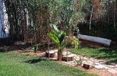 La Luciérnaga - Foto 58