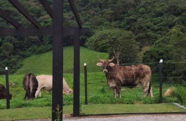 Cabana Mundo Novo - Photo 48