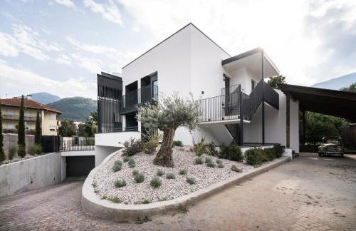 Sambucus Apartments -Premium Apartments for You and Your Dog - Photo 45