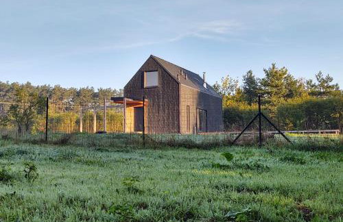 Dom Szumią Wierzby - Foto 49