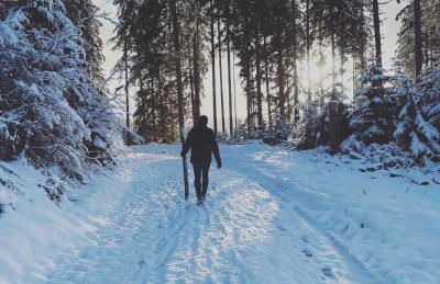 Ferienhaus Rose mit Sauna und HS-Card - Greschuk Apartments - Photo 15