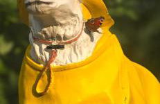 Oase am Deich - Photo 71