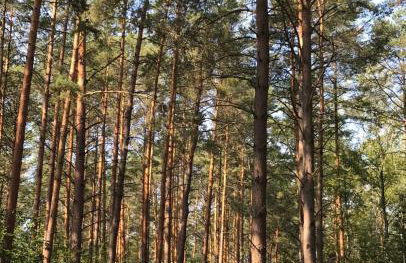 Domek Franianiesulice - Foto 53