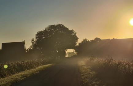 Ferienhaus Hoddebüll nah an der Nordsee - Foto 8