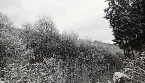 Ferienwohnung Rauszeit Lennestadt Sauerland - Foto 4