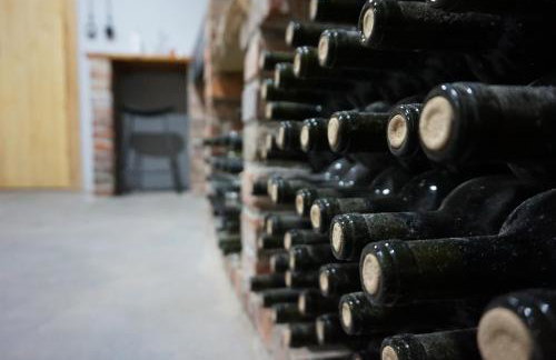 Domek na Winnicy Zagrabie - Foto 15