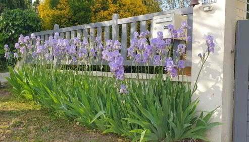 Maison lumineuse dans un cadre verdoyant - Foto 2