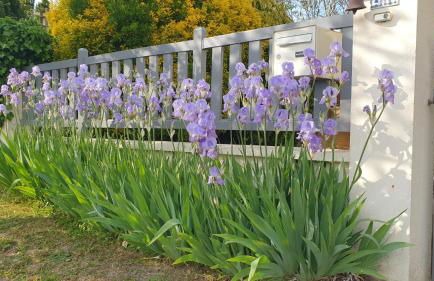 Maison lumineuse dans un cadre verdoyant - Foto 2