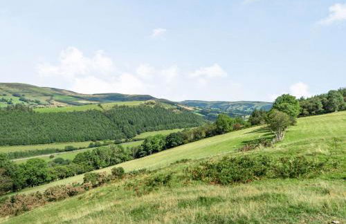 1 Bed in Commins Coch 85207 - Photo 3