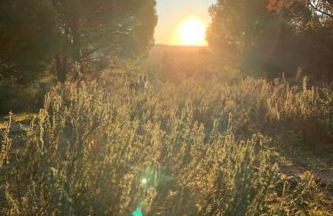 El Refugio de Felix - Photo 54