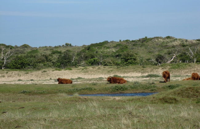 Beach House in Zandvoort With Sea View - Foto 35