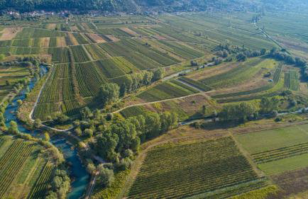 Villa Granny Nevenka near MAKARSKA - Foto 59