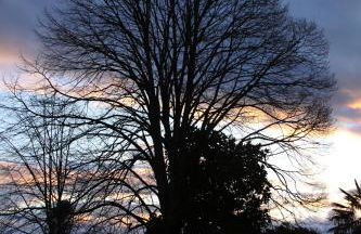 Quinta da Fata - Foto 64