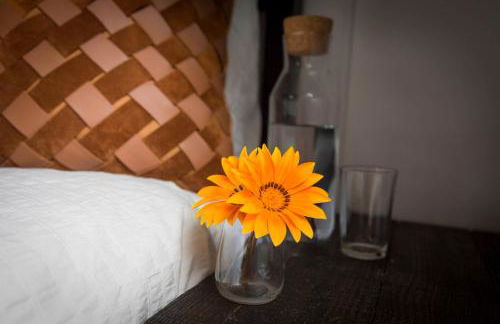 Quinta Camarena - Foto 47