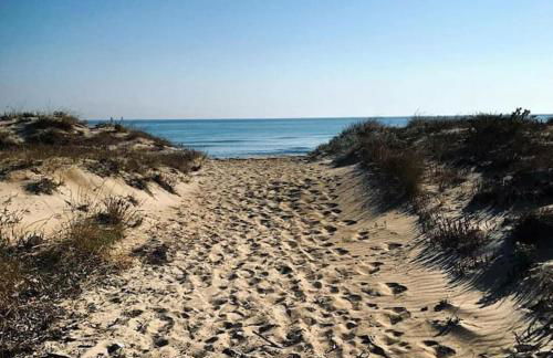 Eleutheria beach villa by the beach - Foto 78