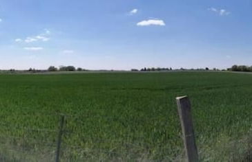 Ferme du Caroire - Foto 12