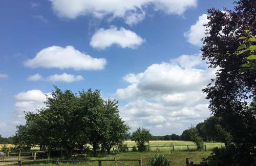 Ferienwohnung Schöner Winkel - Foto 6