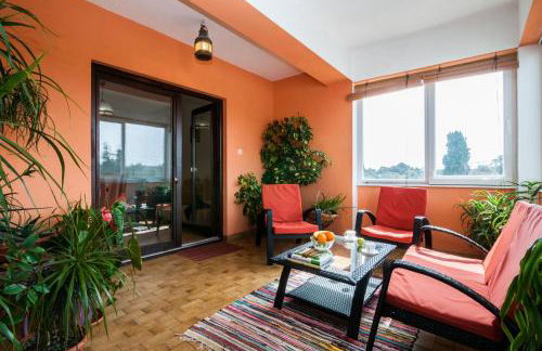 Apartments Cvita Ugljan - Foto 64