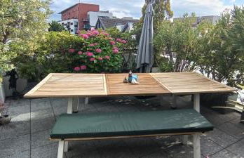 Stade de France - Magnifique terrasse arborée - Foto 19