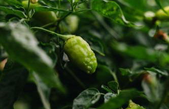 GILS Experience - Photo 44