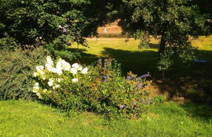 Grünes Ferienhaus - Foto 33