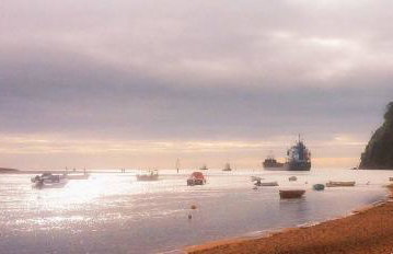 The Nest - Thatched seaside country cottage for two - Foto 46